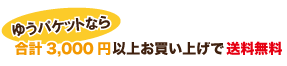 ゆうパケットなら合計3,000円以上お買い上げで送料無料！