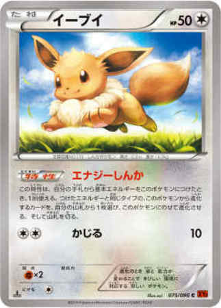 イーブイ エナジーしんか かじる 075 096 Xy3 トレカショップ 竜のしっぽ Tcgの通販ショップ