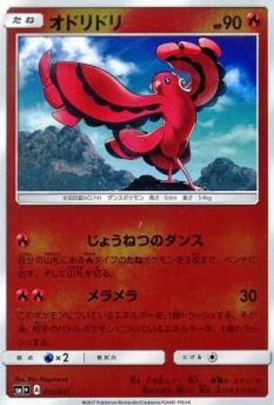 オドリドリ トレカショップ 竜のしっぽ Tcgの通販ショップ オドリドリ トレカショップ 竜のしっぽ Tcgの通販ショップ