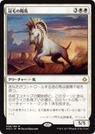 【神話レア】冠毛の陽馬